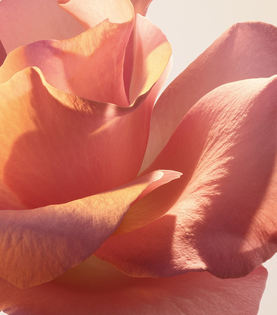 Absolue Le Parfum Eau de Parfum (50ml)