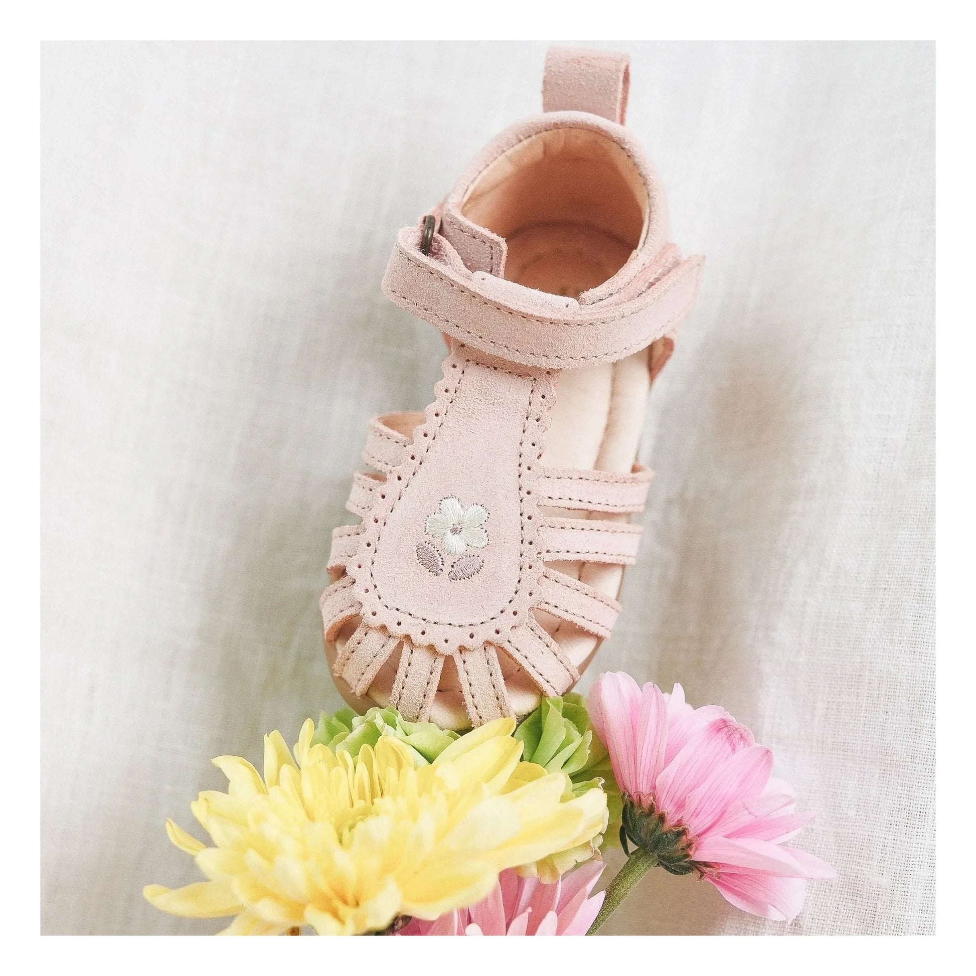 Lazare - Colette Fleur Suede Embroidered Sandals | Powder pink