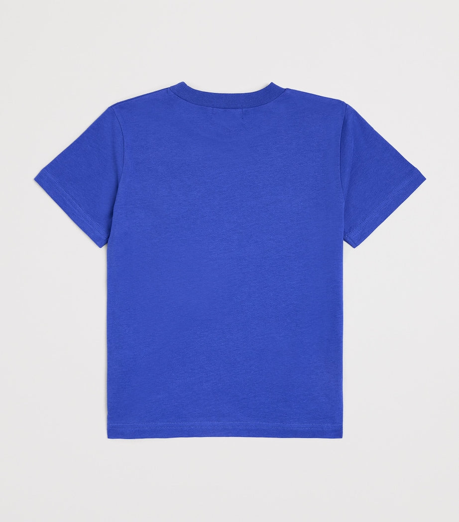 Cotton Graphic T-Shirt (2-6 Years)