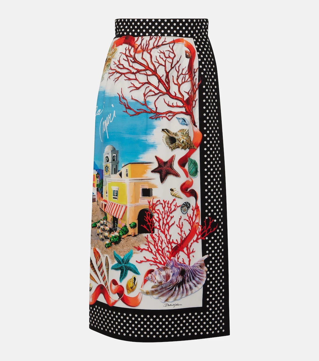 Dolce&Gabbana - Capri printed cotton maxi skirt