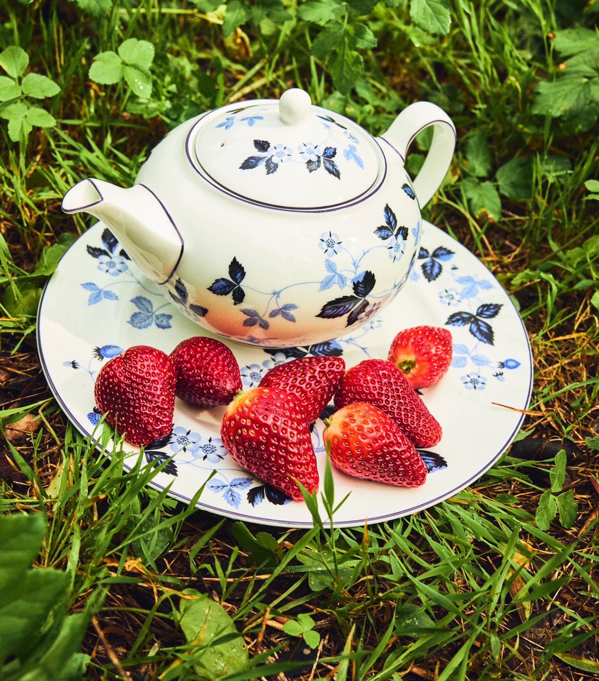 Wild Strawberry Inky Blue Teapot
