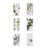 Set of 6 Linen Gastronomic Herb Garden Napkins (50cm x 50cm)