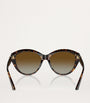 Brown Acetate JC5007 Sunglasses