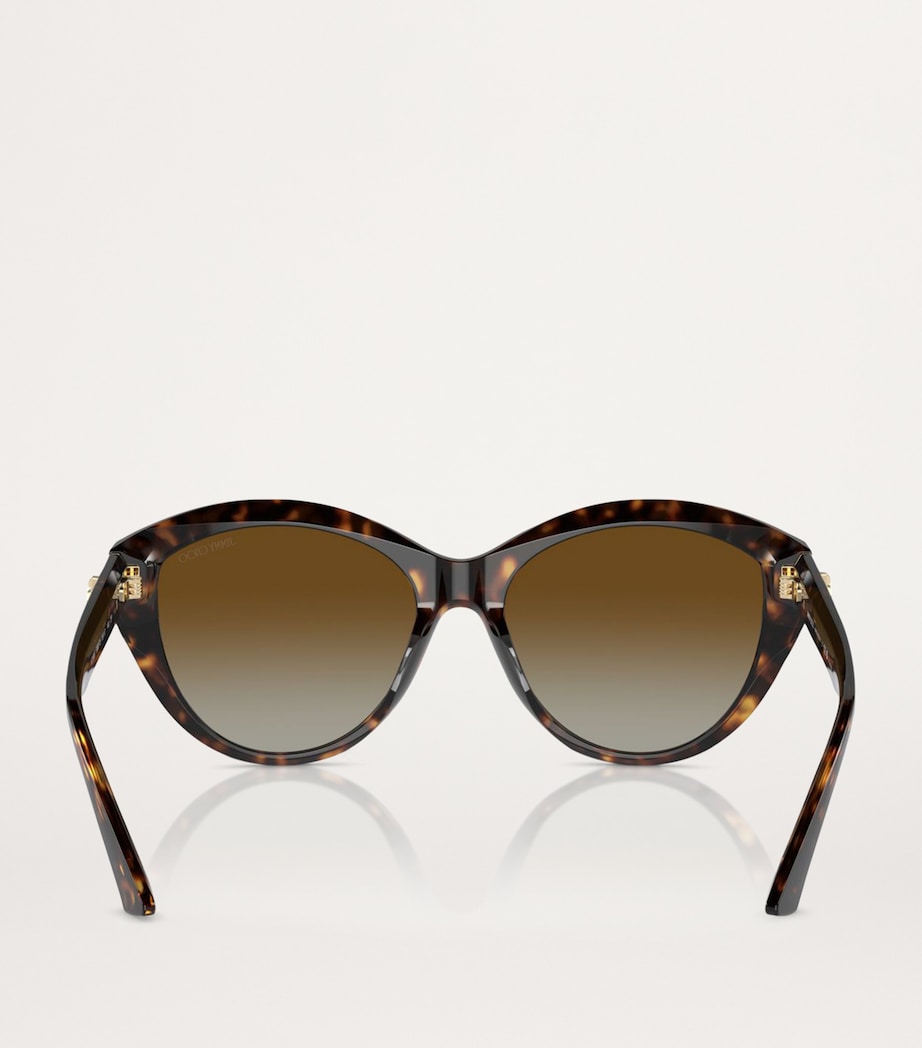 Brown Acetate JC5007 Sunglasses