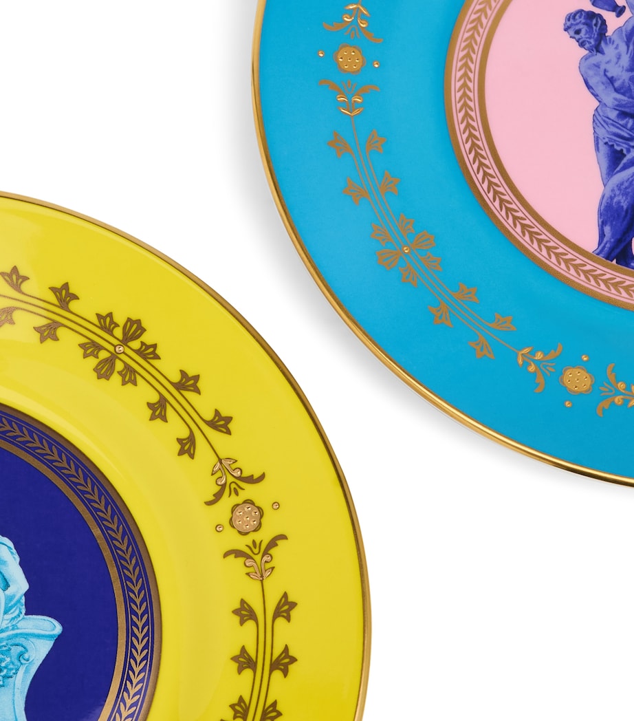 Set of 2 Bacchus Plates (20.6cm)