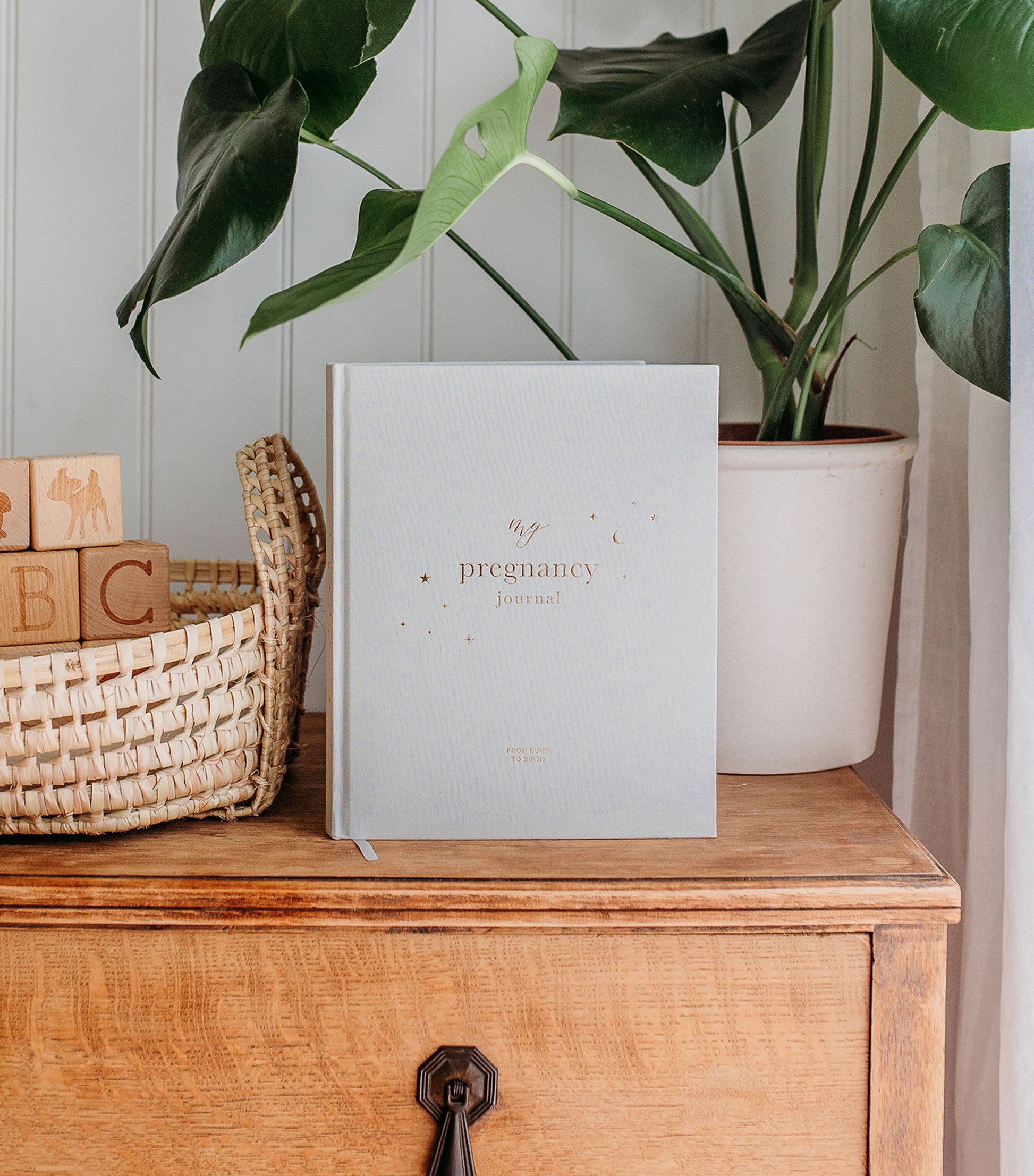 Blush and Gold My Pregnancy Journal