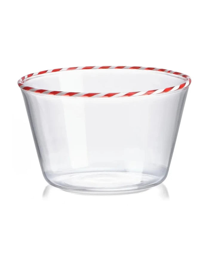 IVV 450 ml Kase Seti (4 Parça)