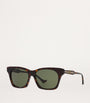 Brown Acetate 0GC002071 Sunglasses