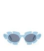 Blue Acetate Oval Flower Sunglasses