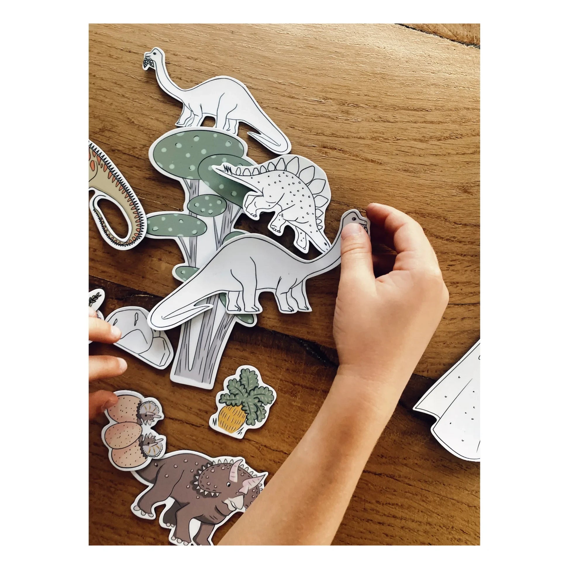 Ferflex - Dinosaur Magnets - Set of 43