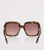 Brown CH0301S Rectangle Sunglasses
