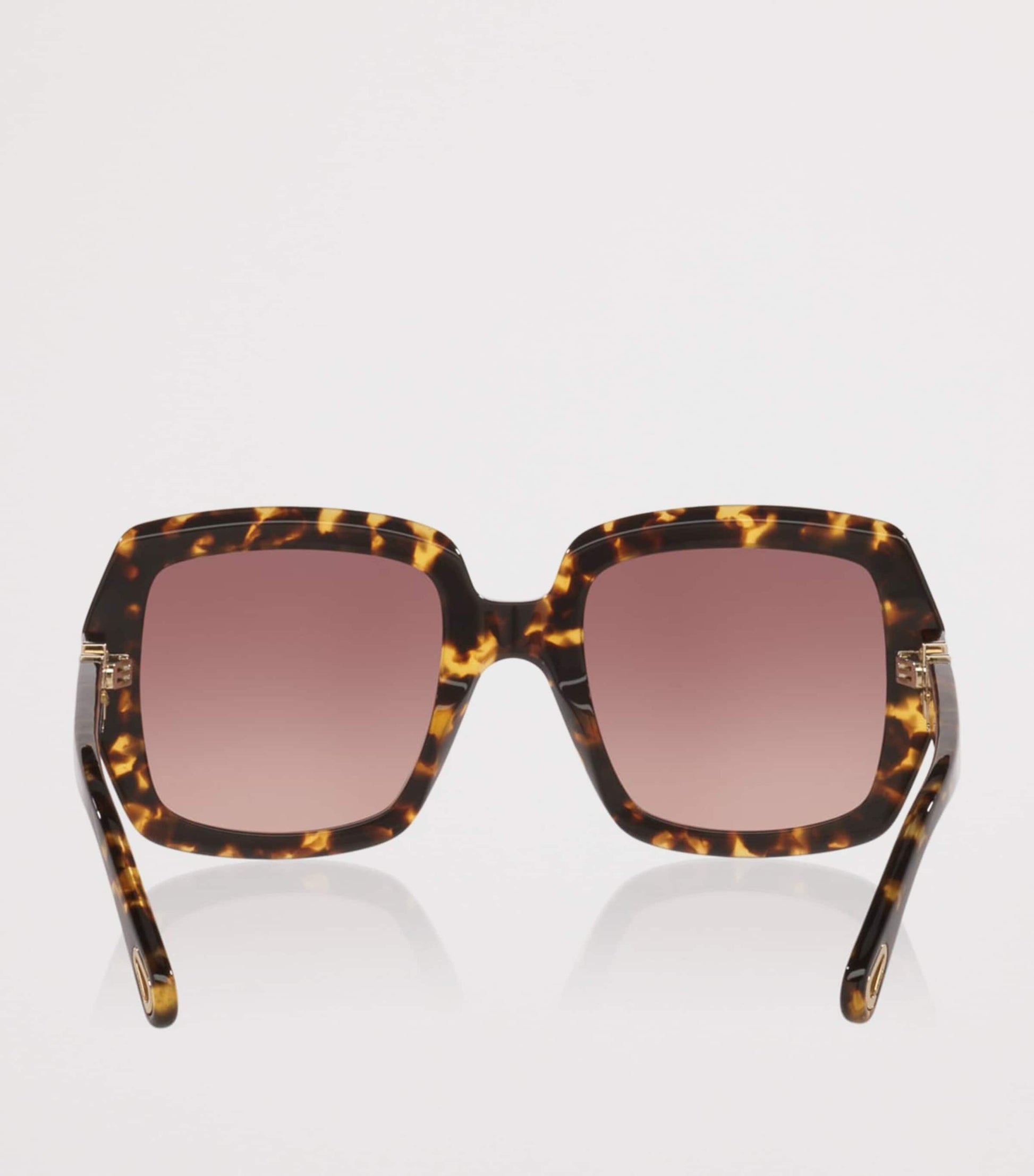 Brown CH0301S Rectangle Sunglasses