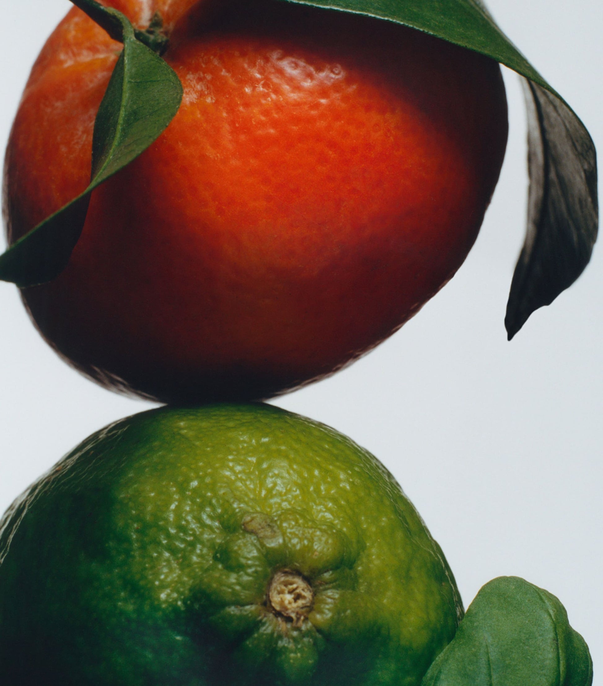 Lime Basil & Mandarin Body Crème (50ml)