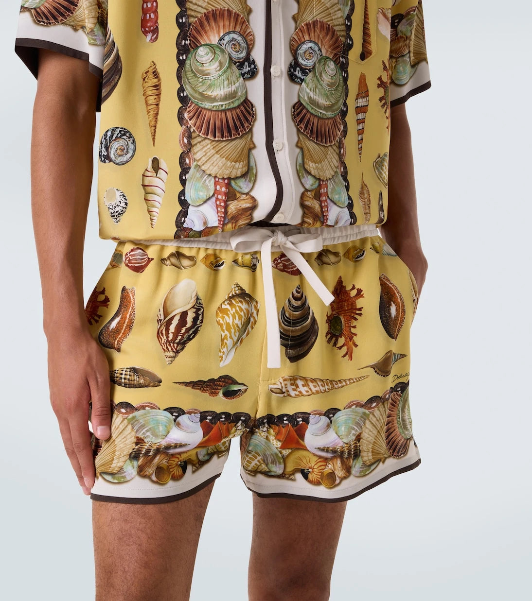 Dolce&Gabbana - Printed silk shorts