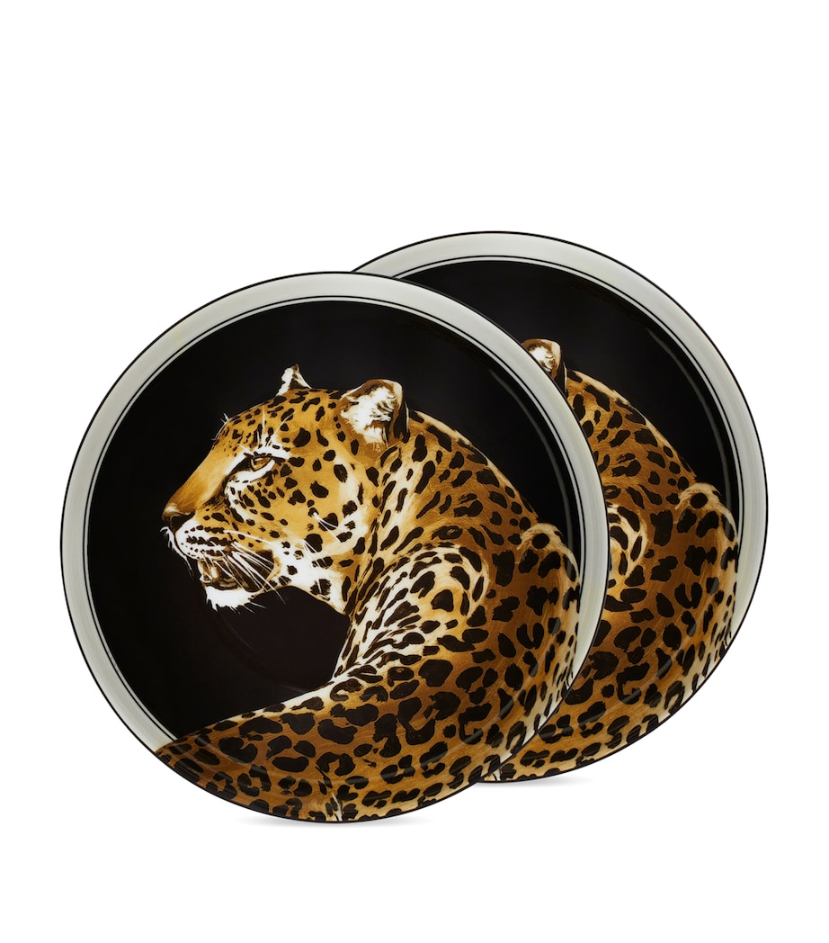 Dolce & Gabbana Casa Set of 2 Leopard Soup Plates (20cm)