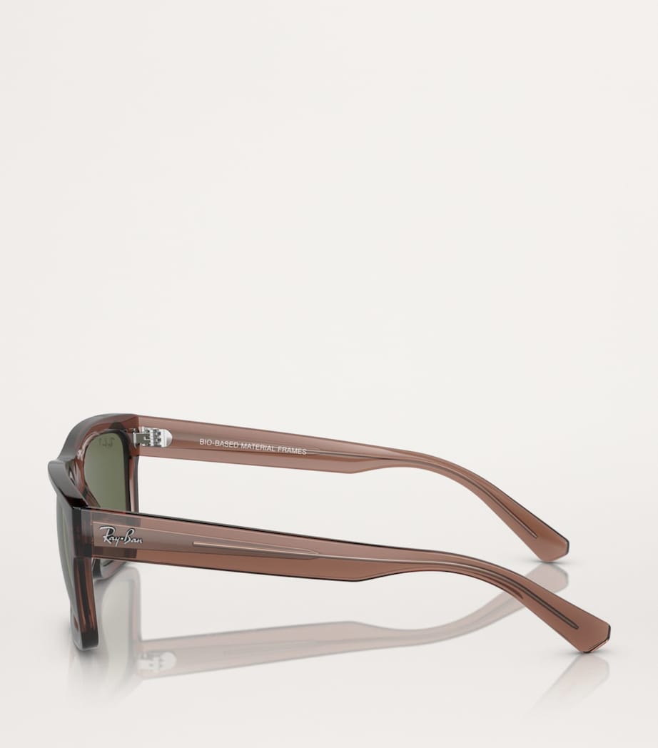 Ray-Ban Brown Acetate 0RB4396 Sunglasses
