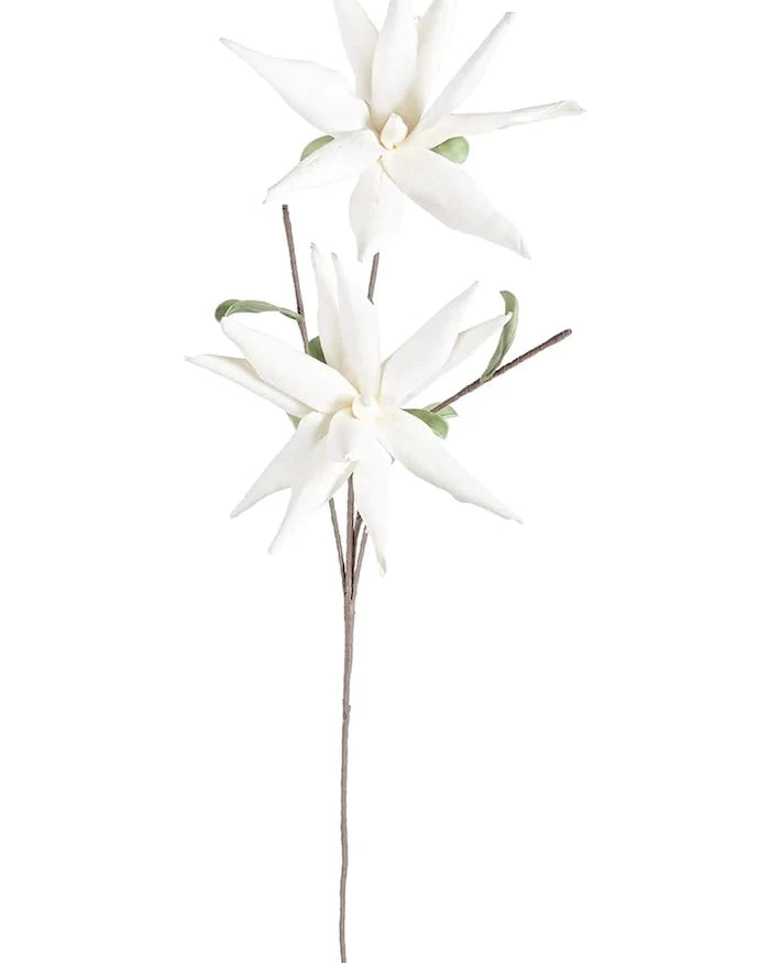 Bizzotto White Aloe Chinesis Yapay Çiçek