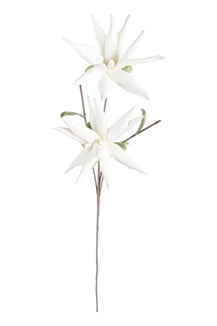 Bizzotto White Aloe Chinesis Yapay Çiçek