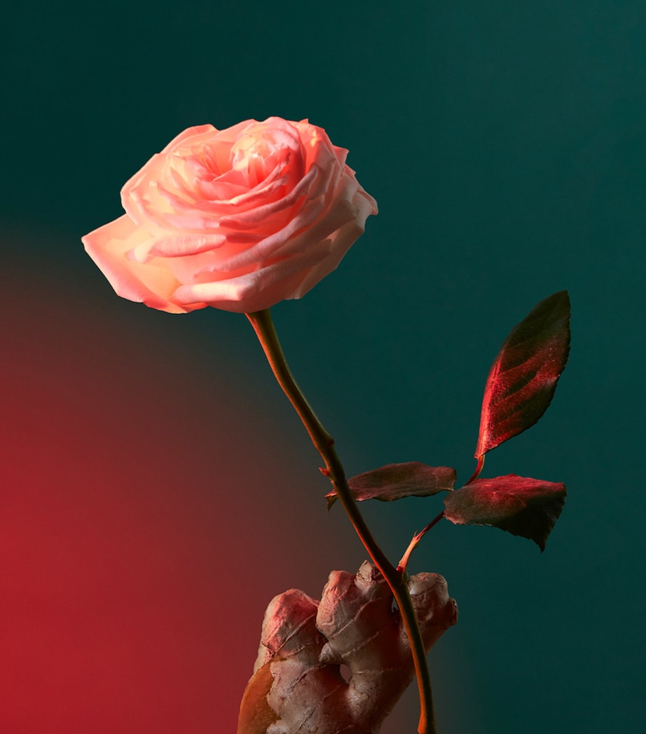 Liquid Love Eau de Parfum (100ml)