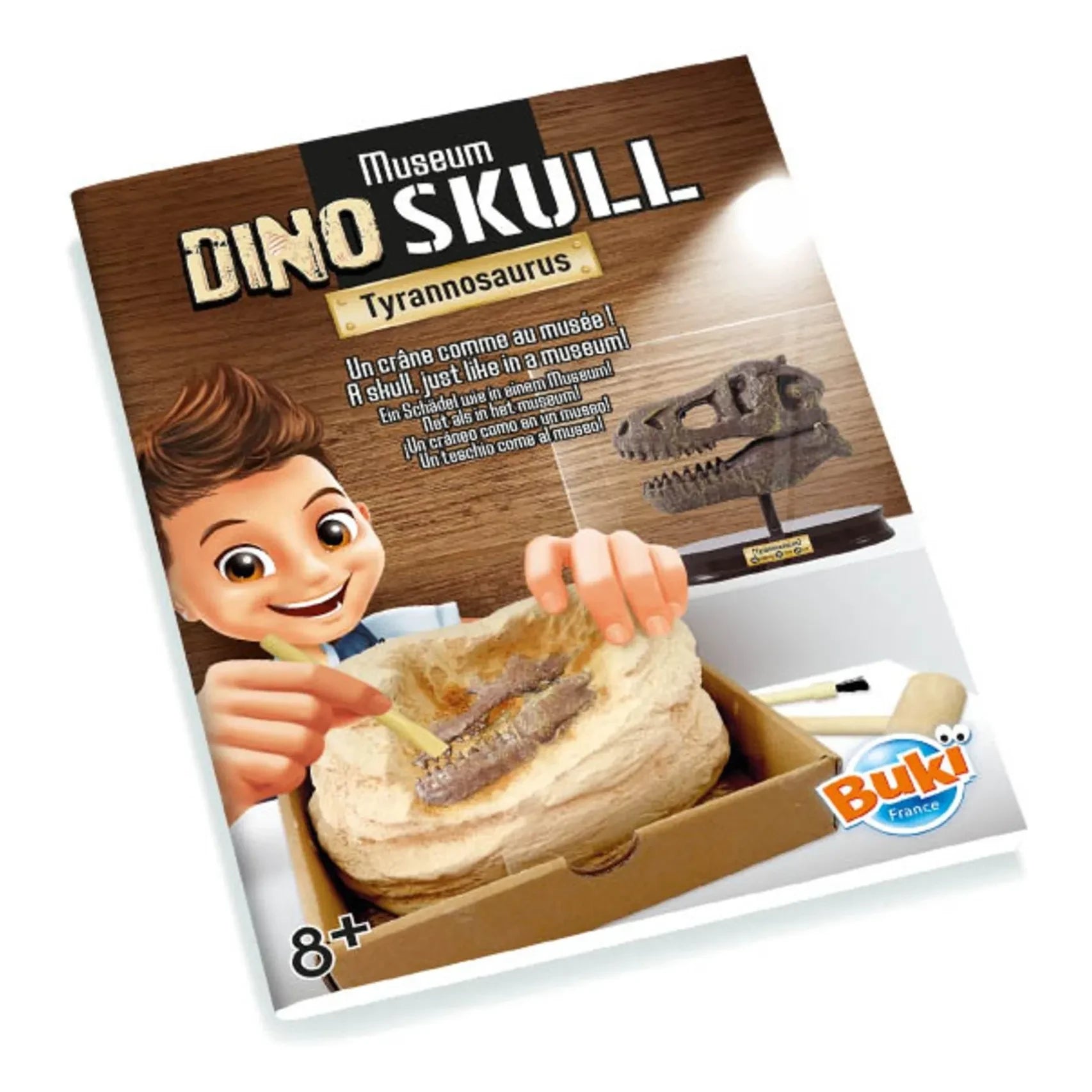 Buki - Archaeology set - Museum Dino Skull