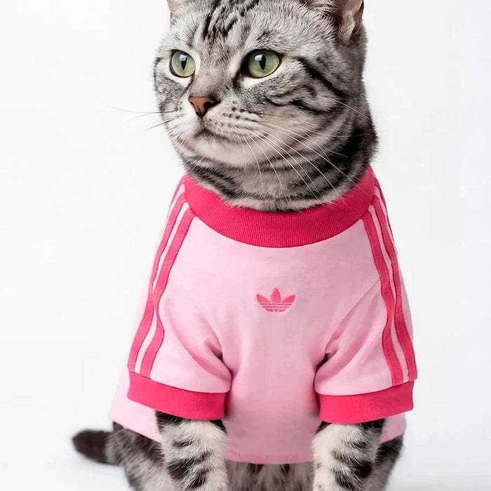 adidas Originals Evcil Hayvan Pet Cali