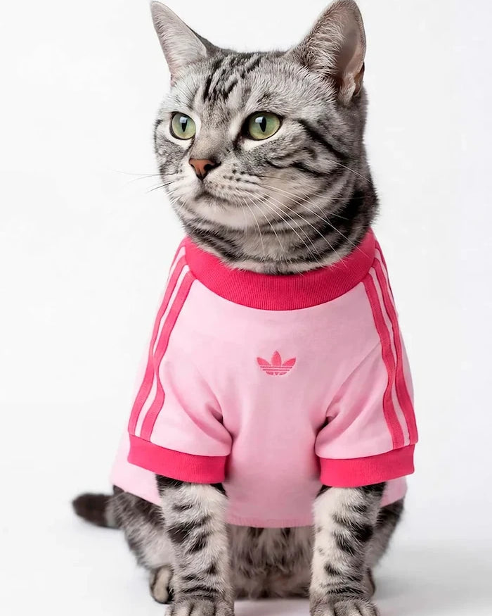 adidas Originals Evcil Hayvan Pet Cali