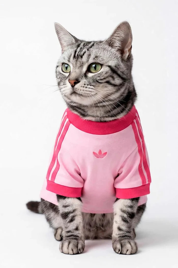 adidas Originals Evcil Hayvan Pet Cali