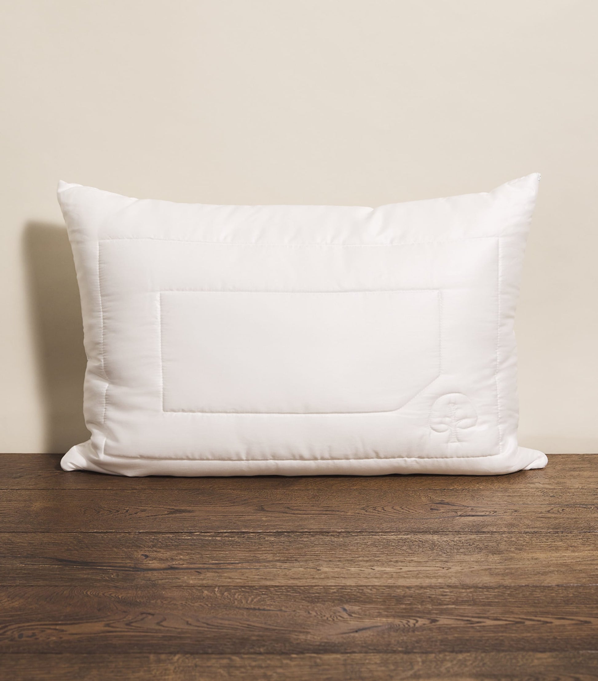 Eco Control Standard Pillow (50cm x 75cm)