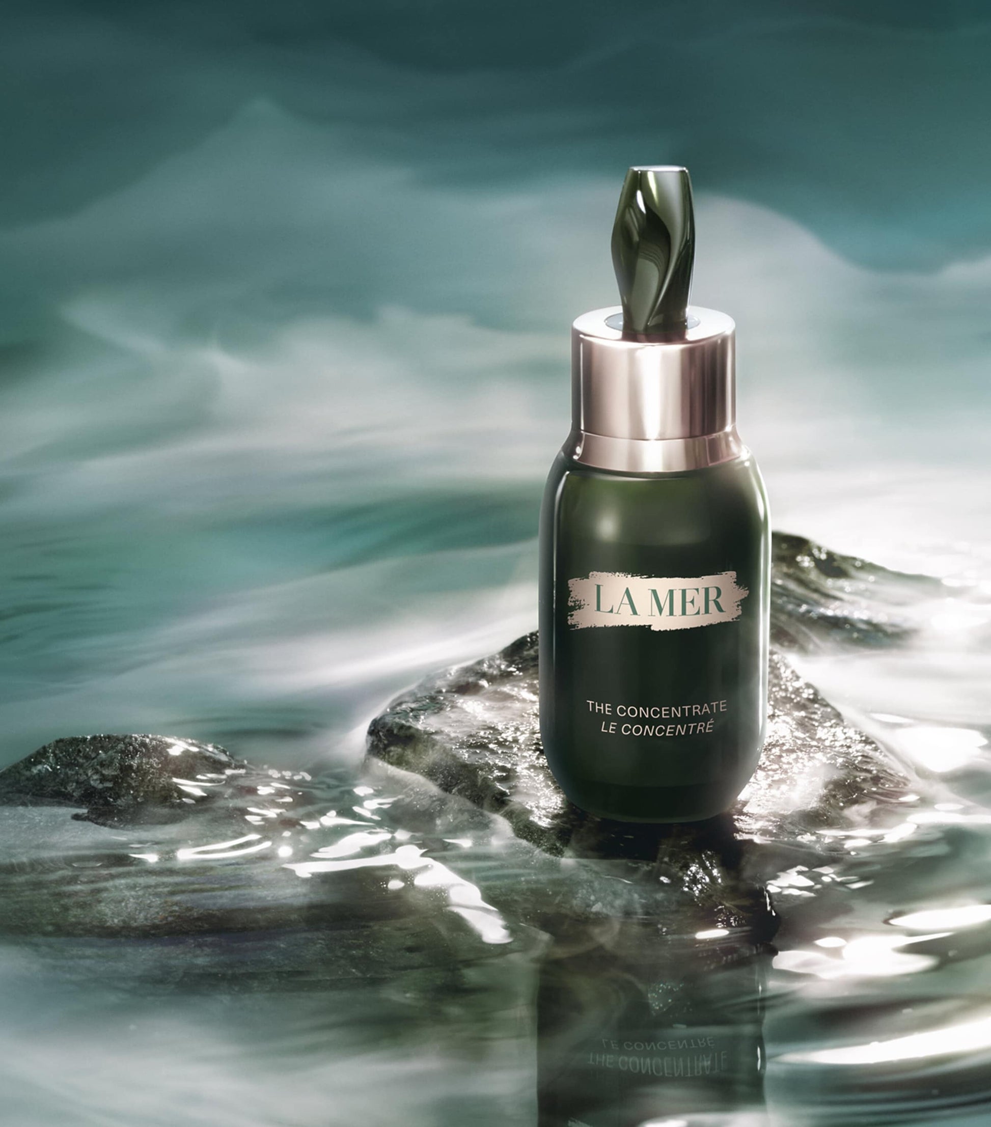 The Concentrate (50ml)