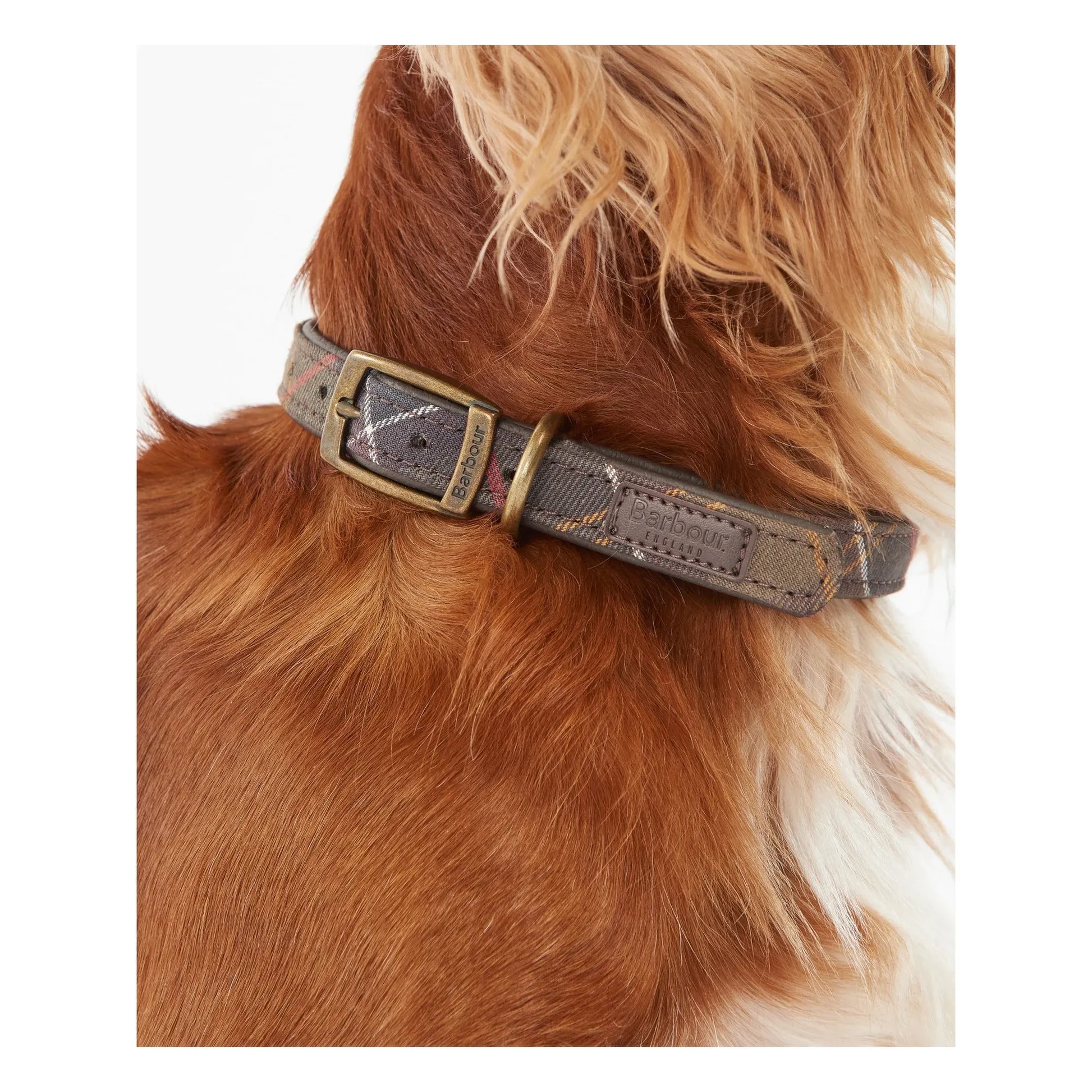 Barbour - Tartan dog collar | Taupe brown