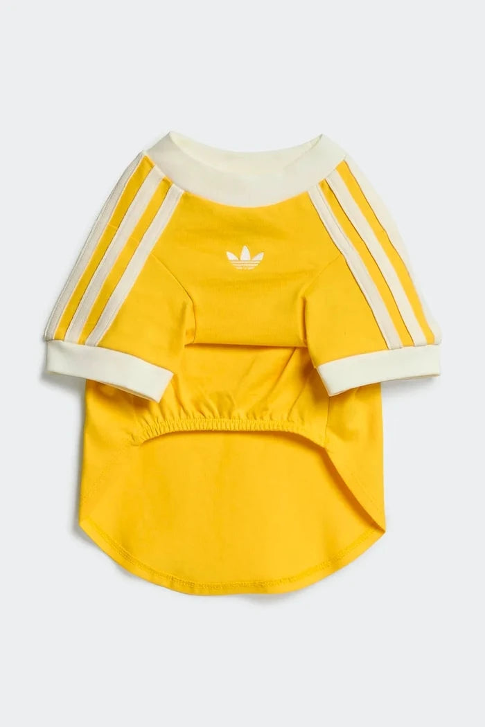 adidas Originals Evcil Hayvan Pet Cali