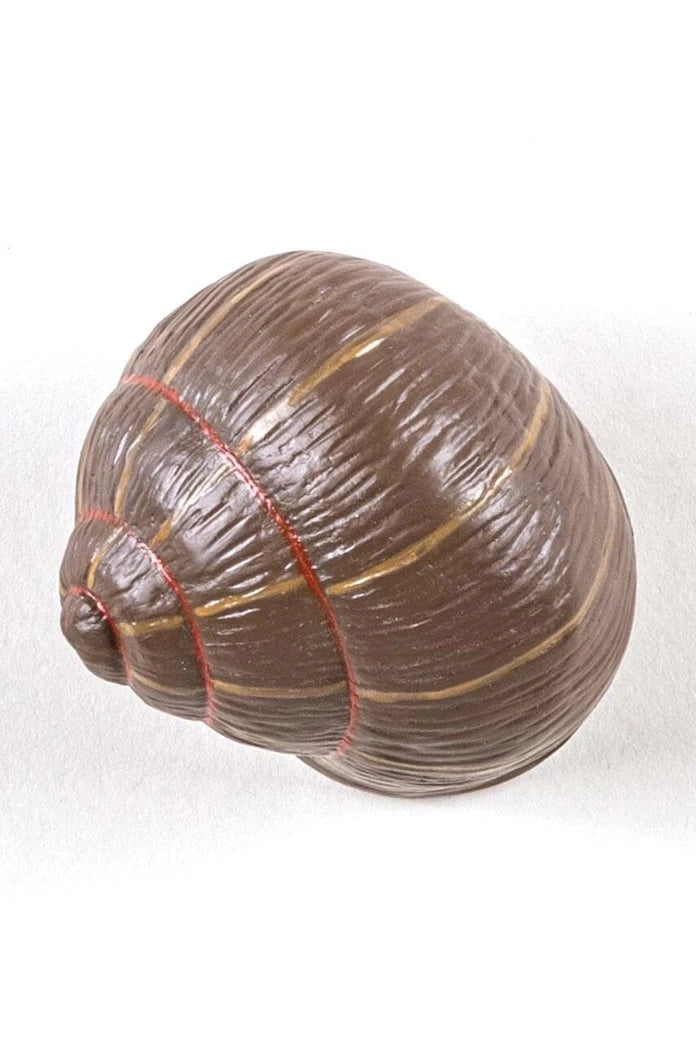 Seletti Sleeping Snail #1 Duvar Askısı