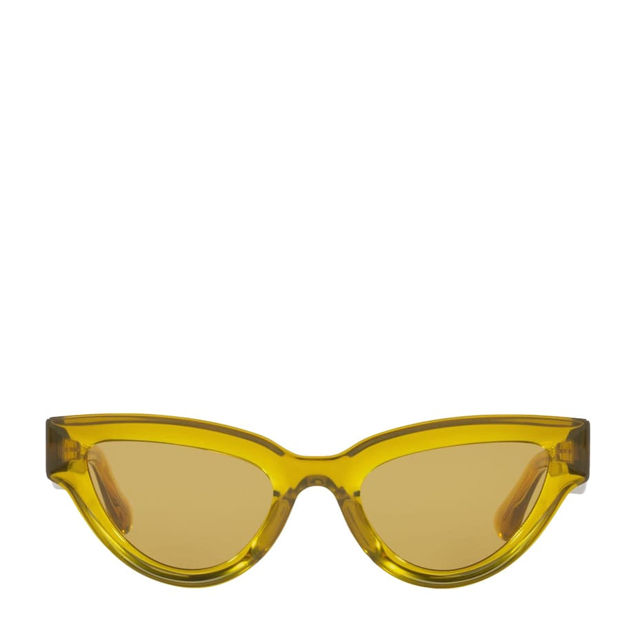 Brown Injected 06J000413 Sunglasses