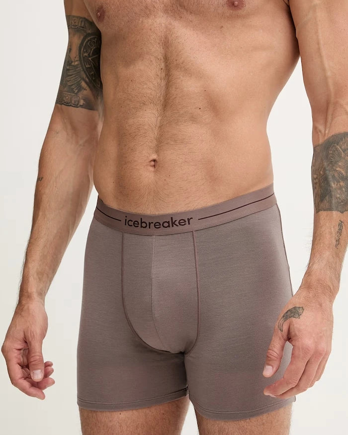 Icebreaker мъжки с мериносова вълна Anatomica