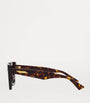 Brown Acetate 06J000394 Sunglasses