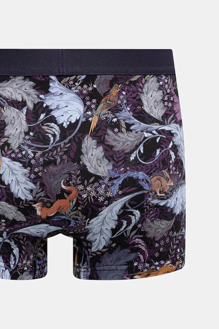 Medicine Boxer (2'li)