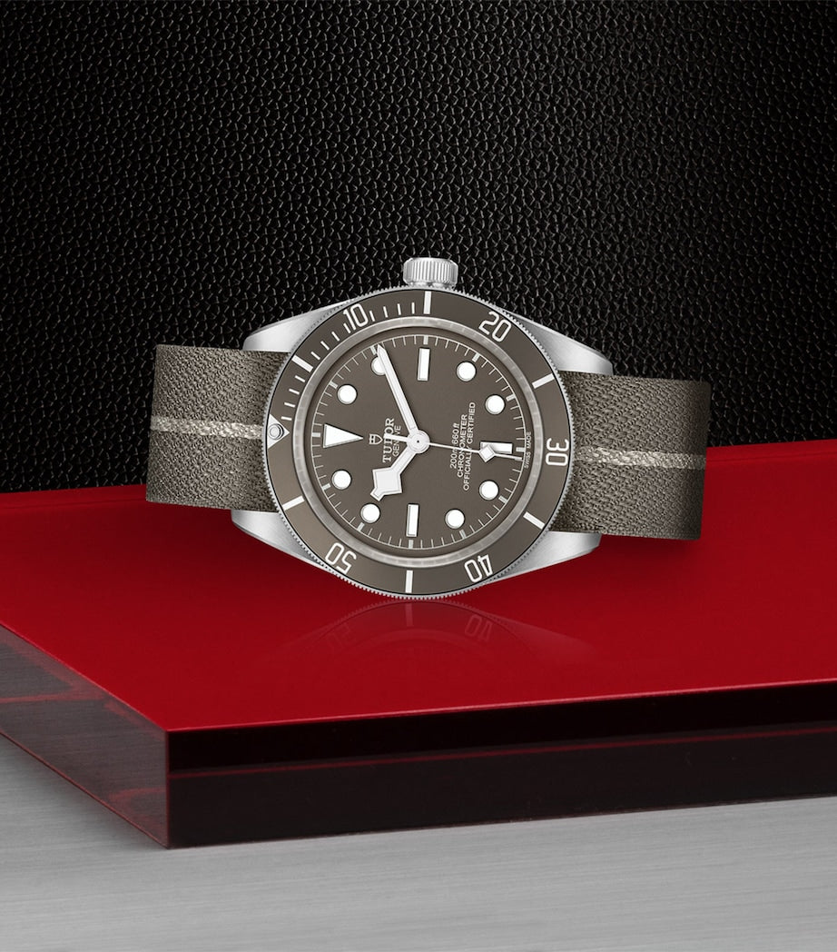 TUDOR Black Bay Fifty-Eight Silver Watch 39mm