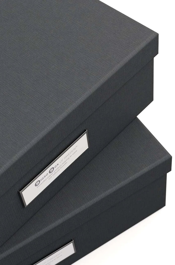 Bigso Box of Sweden Rasmus Saklama Kutusu (2 Adet)