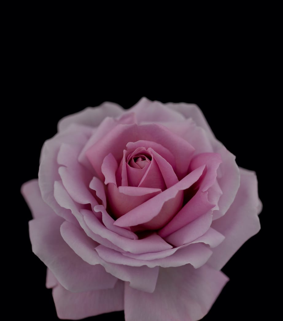 Clé de Peau Beauté Synactif Eau de Parfum