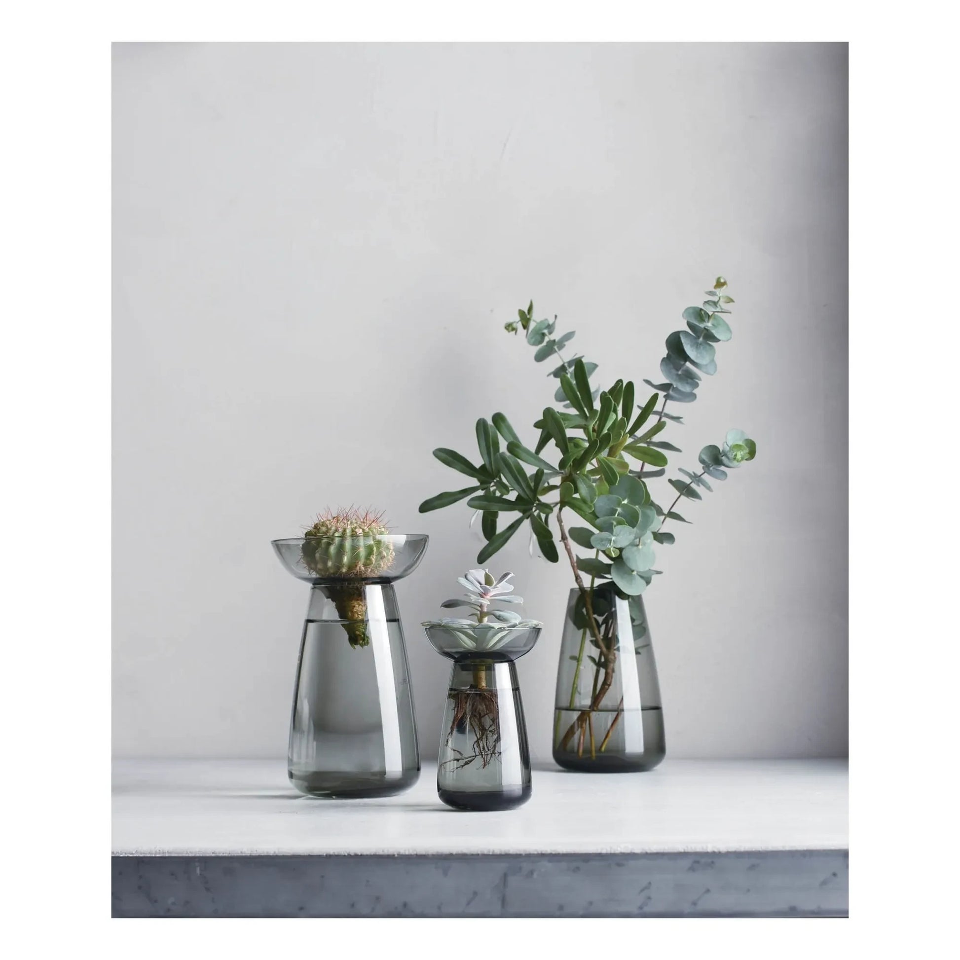 Kinto - Aquaculture Glass Vase | Grey