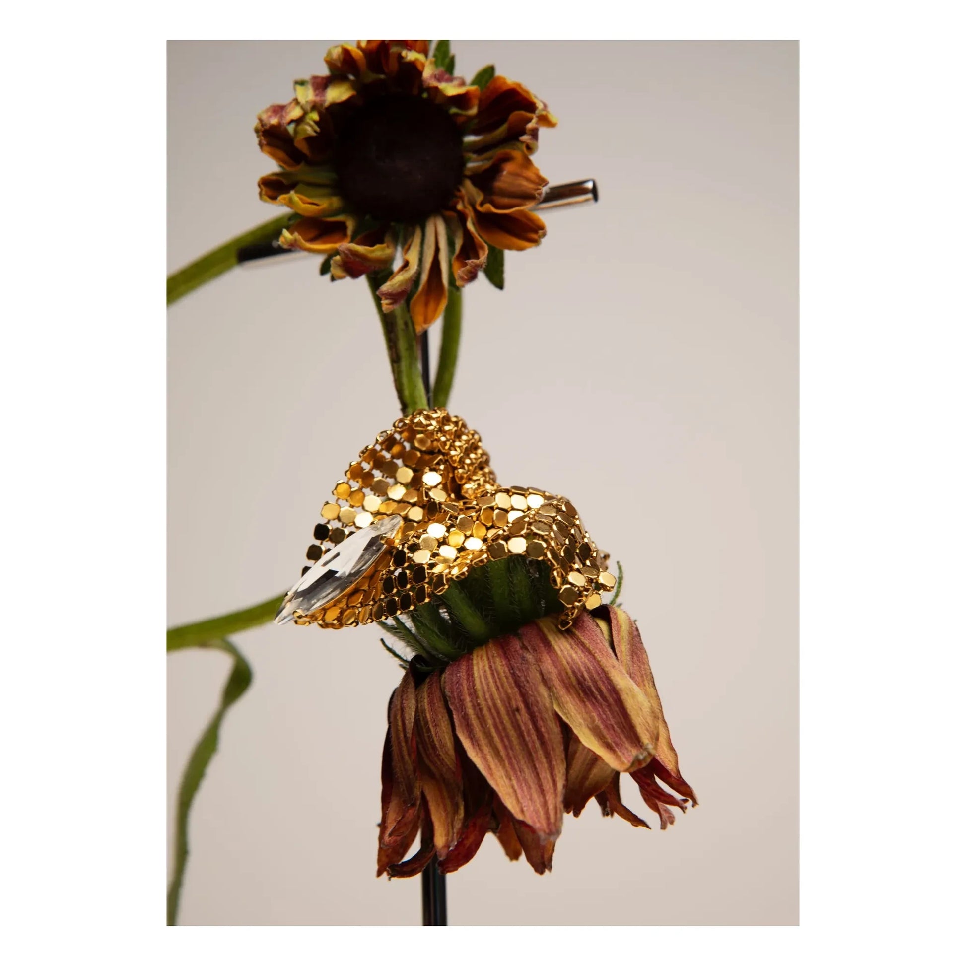 Perrine Taverniti - Iris Earrings | Gold