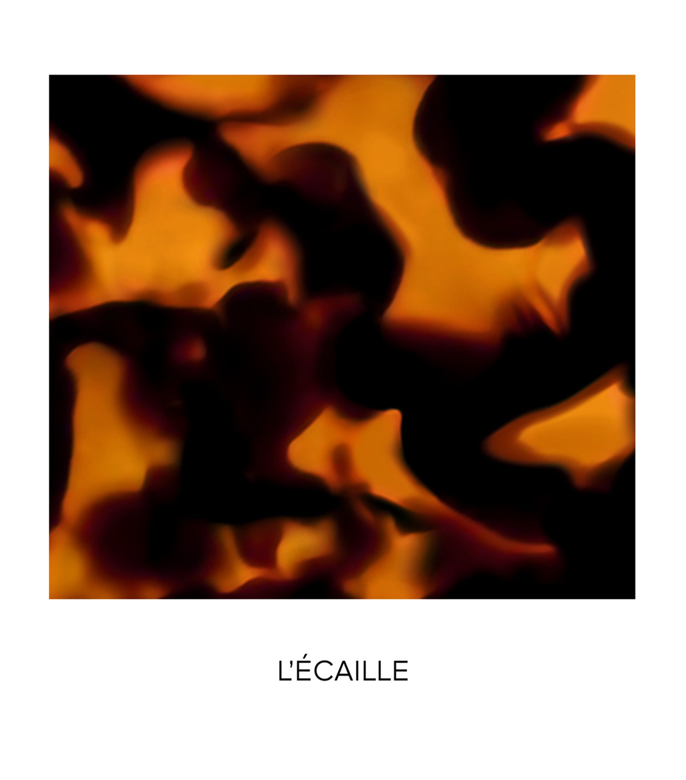 Tortoise-Shell Rouge G Lipstick Case