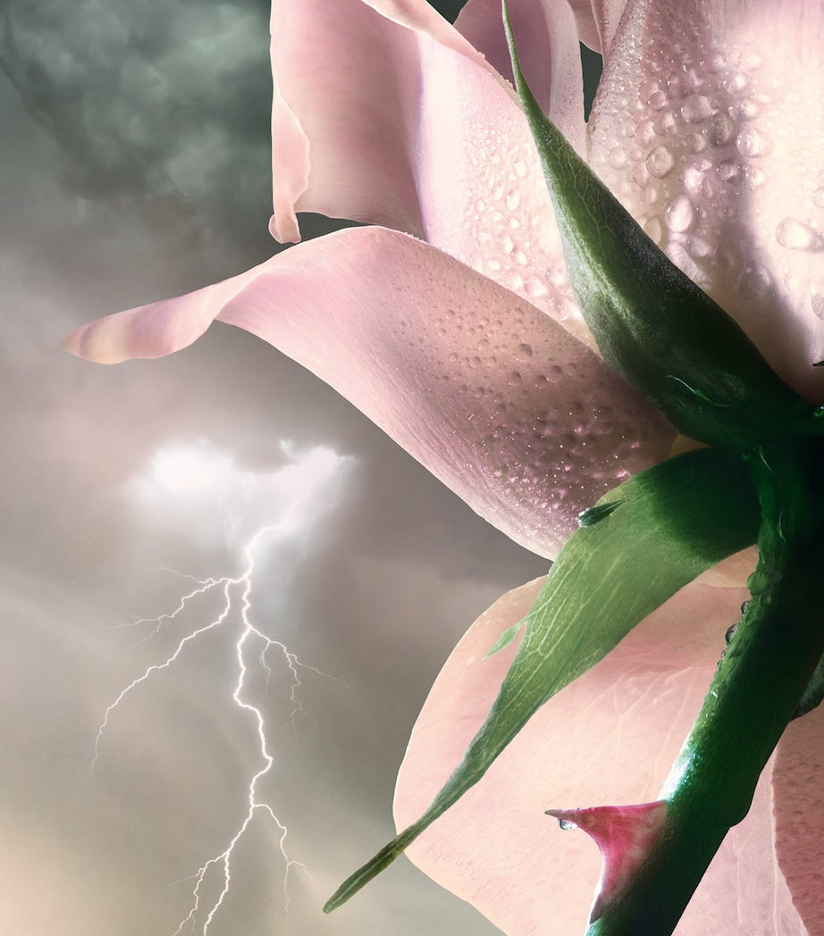 Lancôme Absolue Storm & Roses Eau de Parfum (100ml)