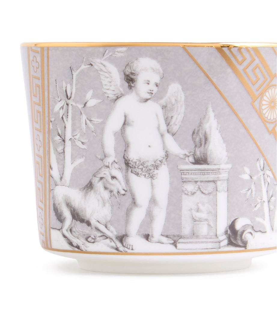 Renaissance Teacup and Saucer