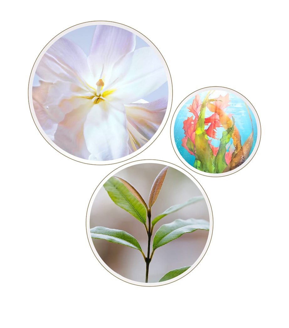 Clé de Peau Beauté The Serum (50ml)