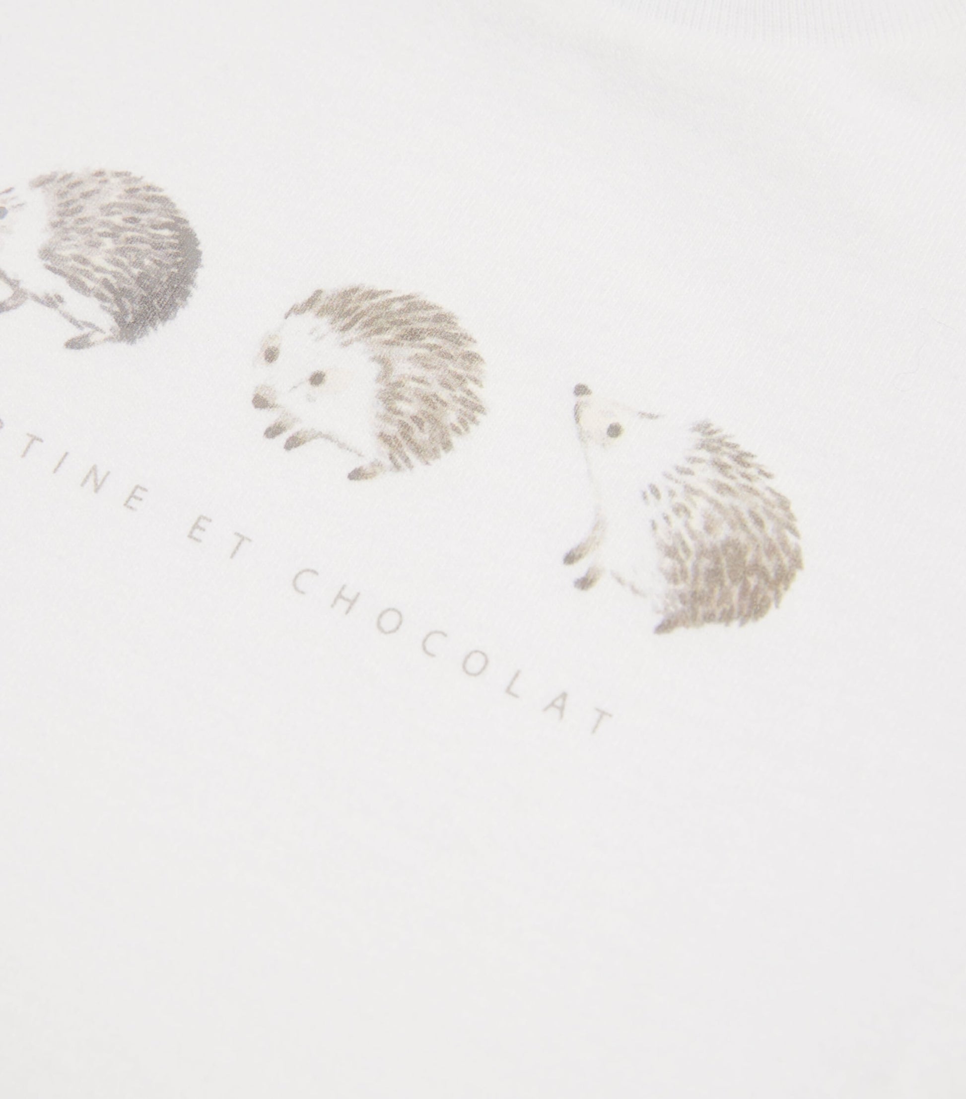 Cotton Jersey T-Shirt (3 Months – 4 Years)