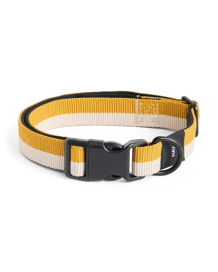 HAY Köpek Tasması M/L 2,5 x 40-65 cm