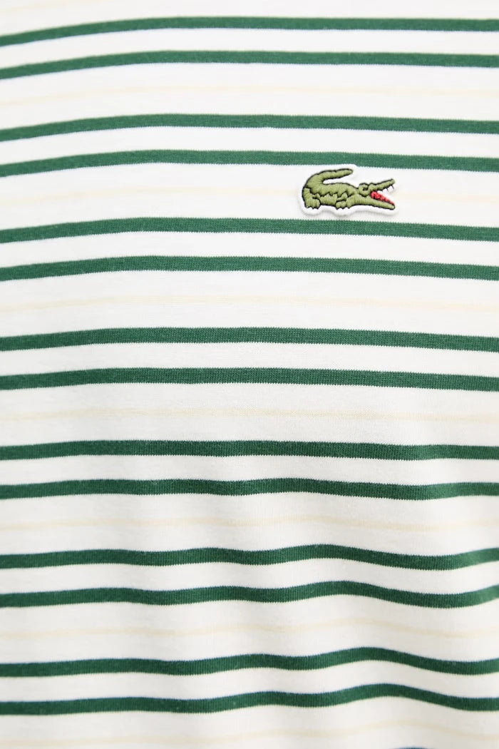 Lacoste erkek pamuklu tişört