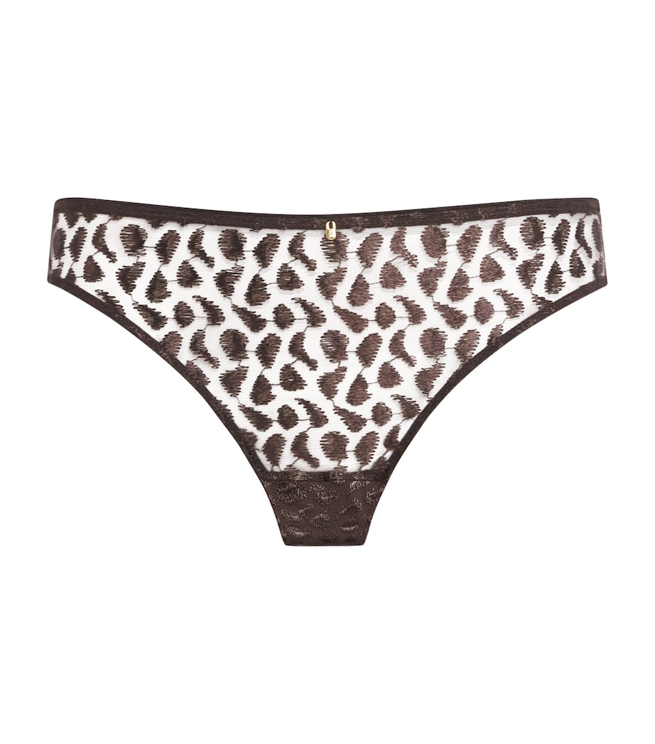 Aubade Brown Crazy in Love Briefs