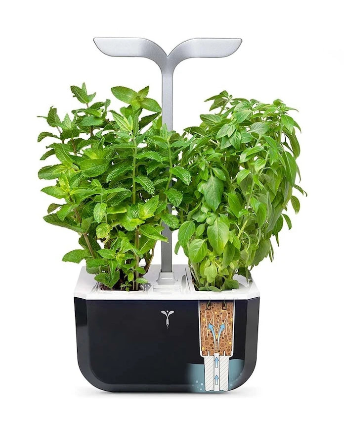 Veritable Exky Smart Otonom Ev Bahçesi 20 × 18 cm